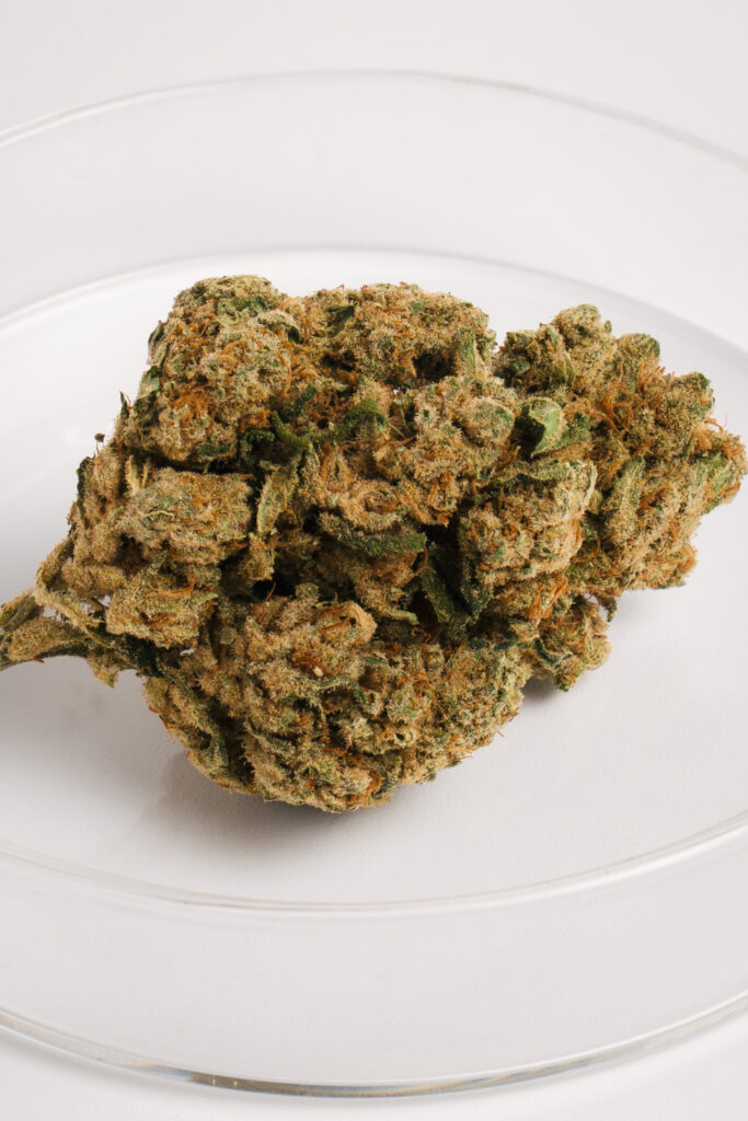 Compra Amnesia CBD hidropónica en Sannatix: flor de calidad superior con aroma cítrico e intenso, alto CBD y efecto relajante 100% legal.