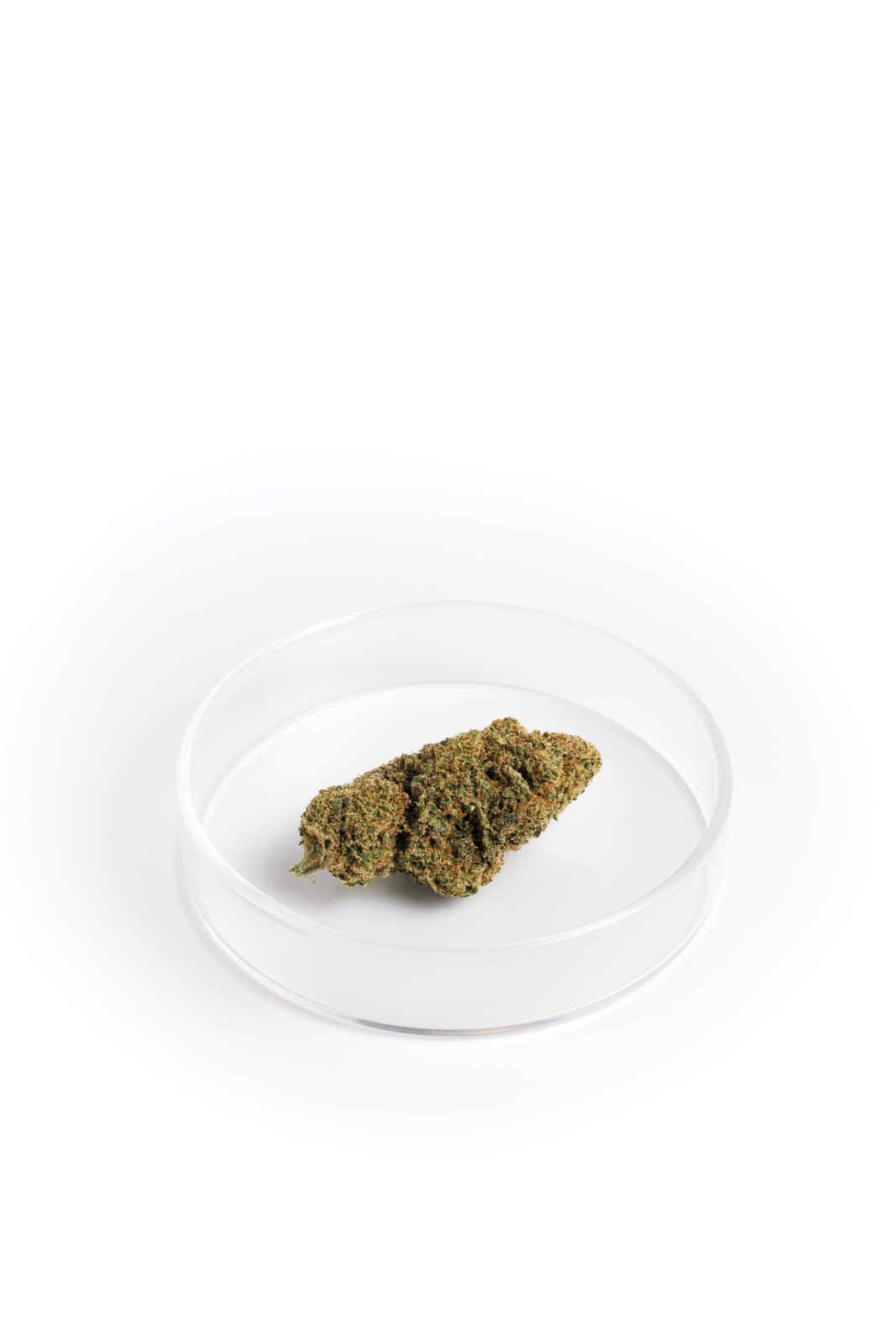 Cheese Grape - Imagen 2