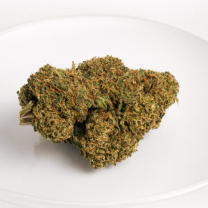 Flor de OG Haze CBD de invernadero con tonos verdes claros y perfil cítrico.