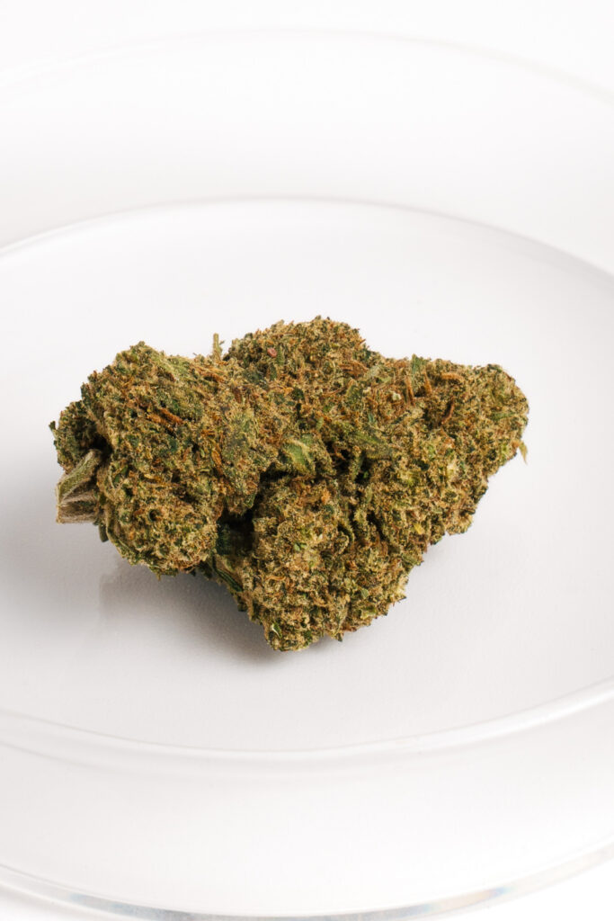 Flor de OG Haze CBD de invernadero con tonos verdes claros y perfil cítrico.