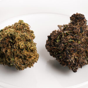 Cogollo de Zoap CBD purple con tonos morados, resina brillante y aroma dulce.