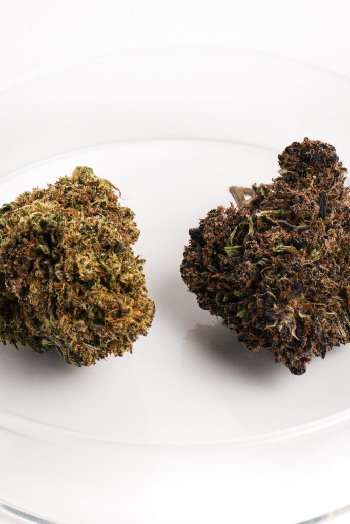 Cogollo de Zoap CBD purple con tonos morados, resina brillante y aroma dulce.