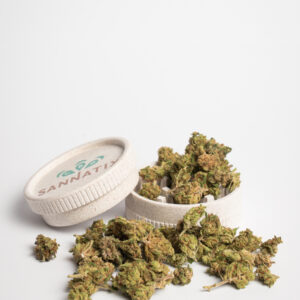 SmallBuds Mil Flores